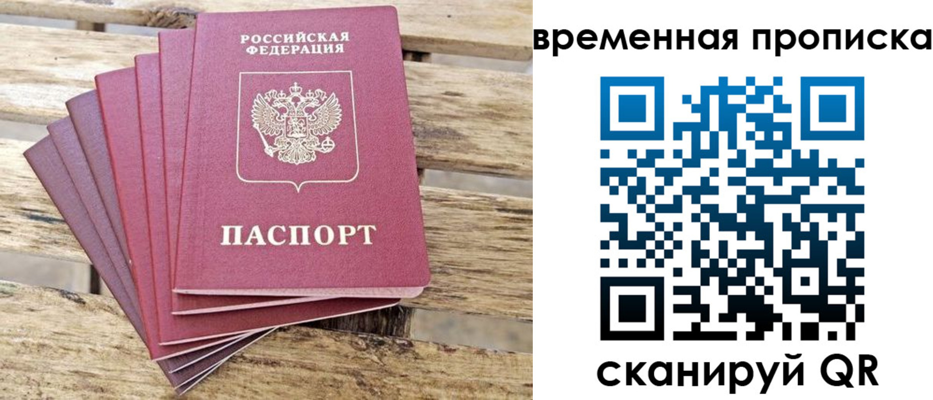 прописка в квартире в Электрогорске