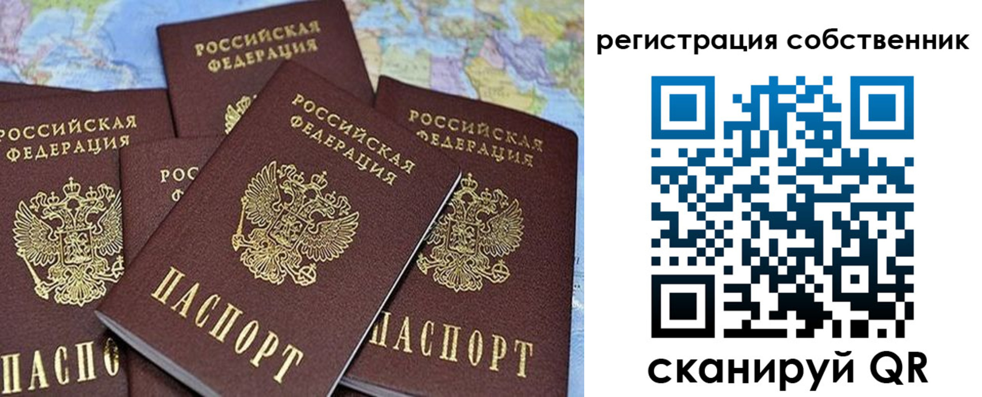 прописка для школы в Электрогорске